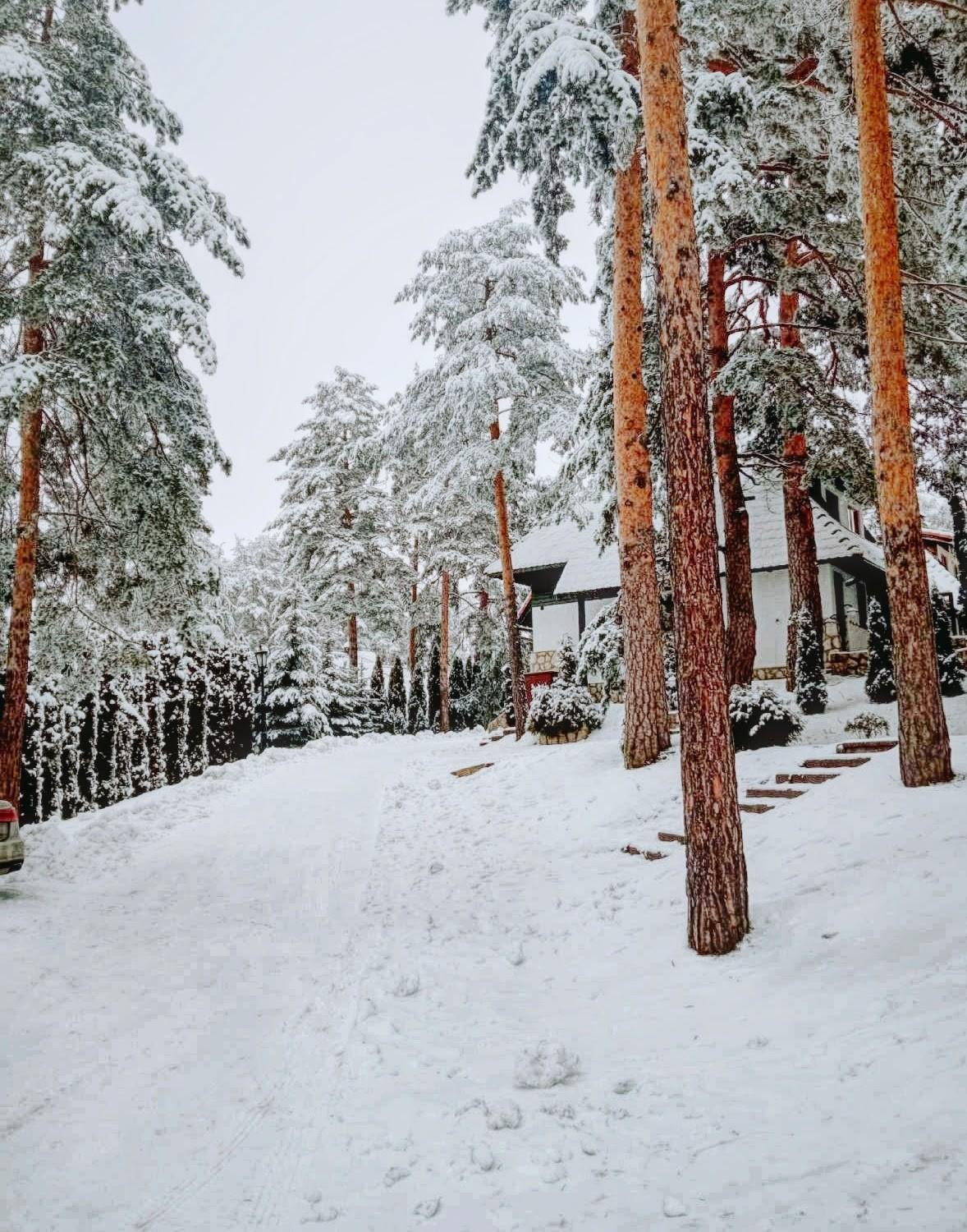 Ferienwohnung Matija Lux Konaci Zlatibor Exterior foto