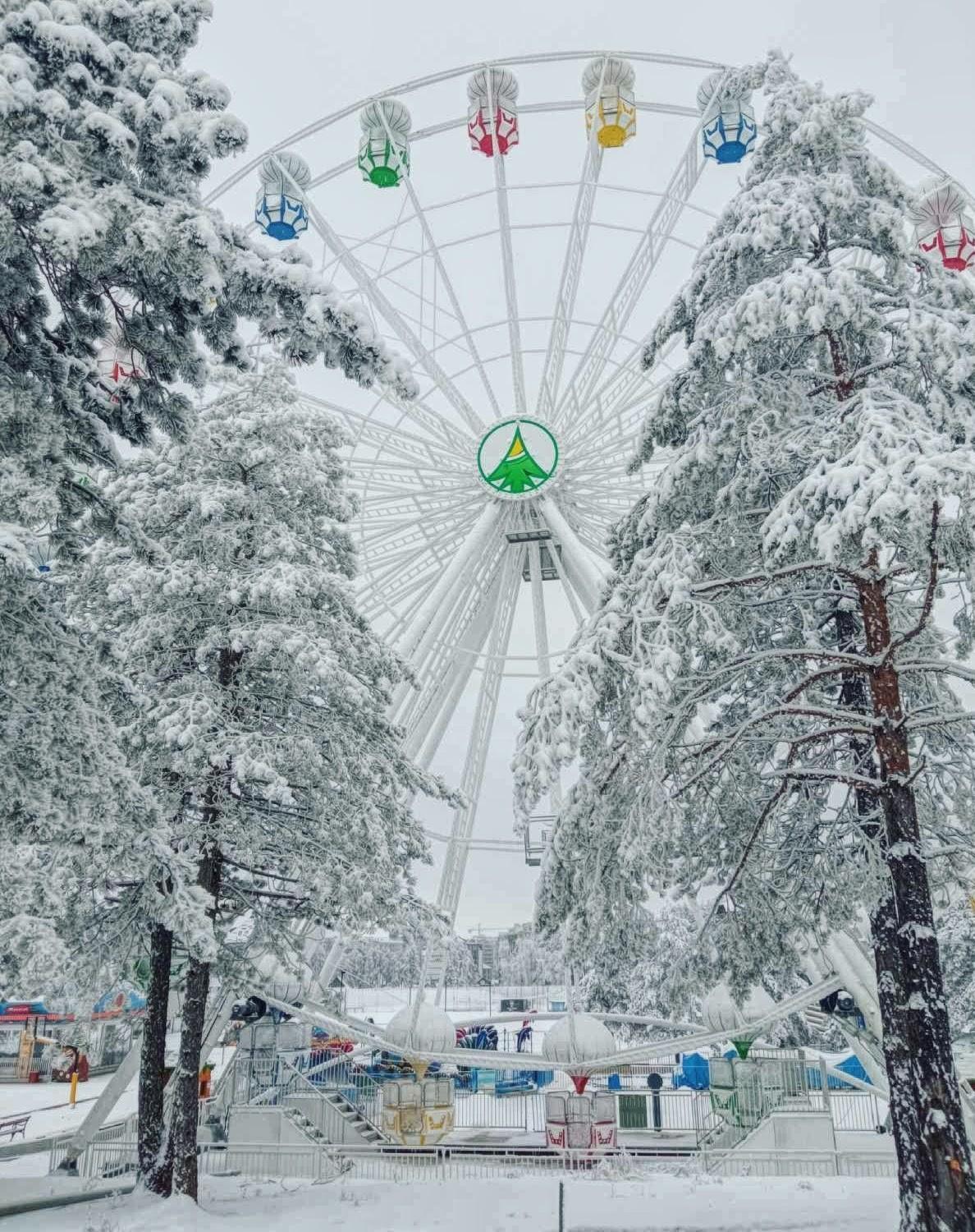 Ferienwohnung Matija Lux Konaci Zlatibor Exterior foto